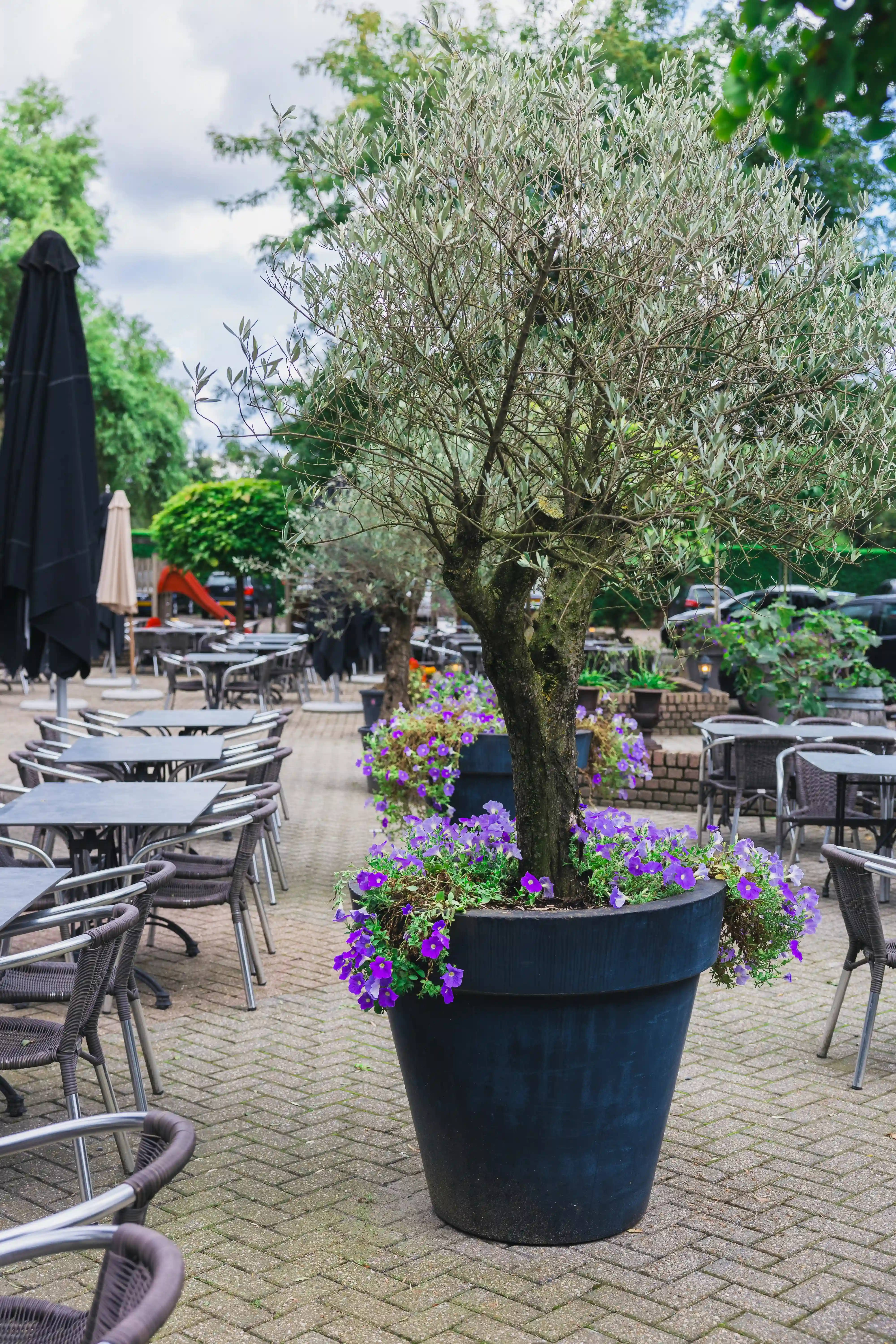 Koffie bij de Sluis